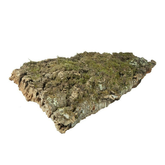 Virgin Natural Cork Bark